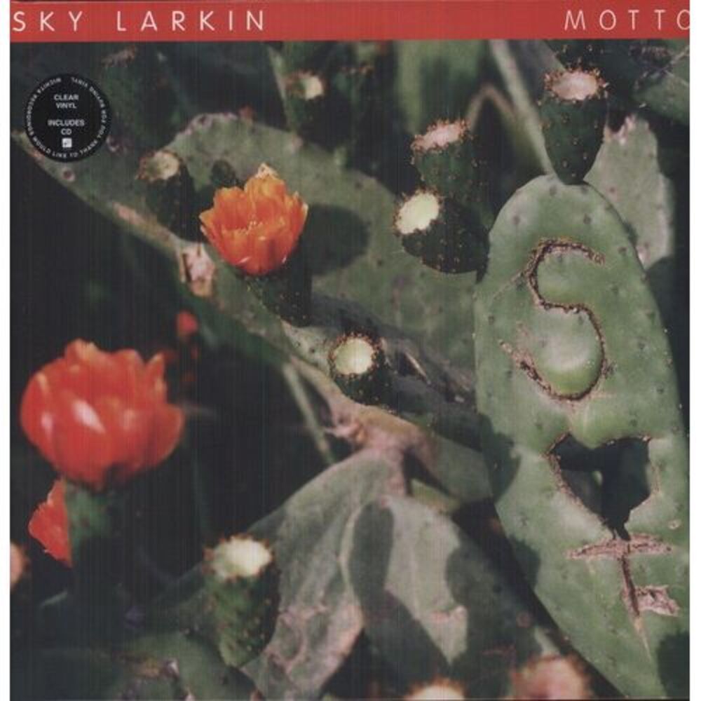 Sky Larkin - Motto  LP LP